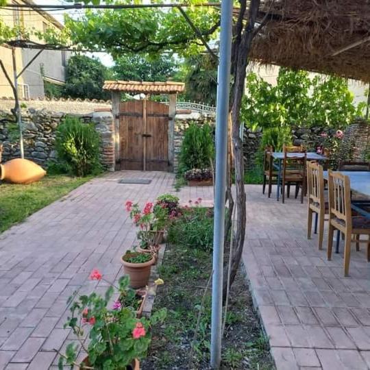 Cottage And Gigo Papa'S Wine Cellar Kvareli Exterior photo