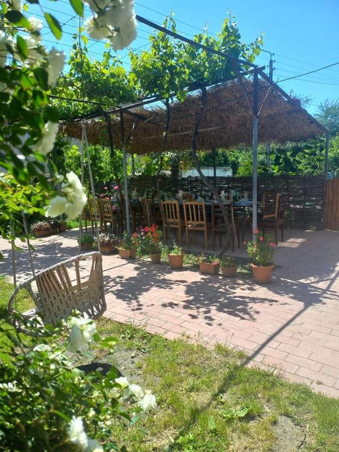 Cottage And Gigo Papa'S Wine Cellar Kvareli Exterior photo