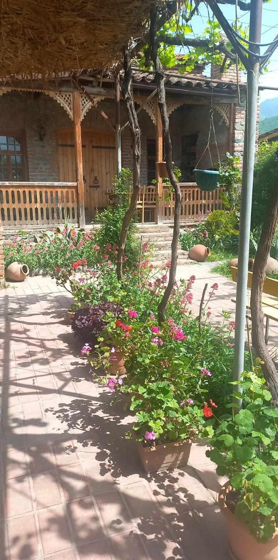 Cottage And Gigo Papa'S Wine Cellar Kvareli Exterior photo