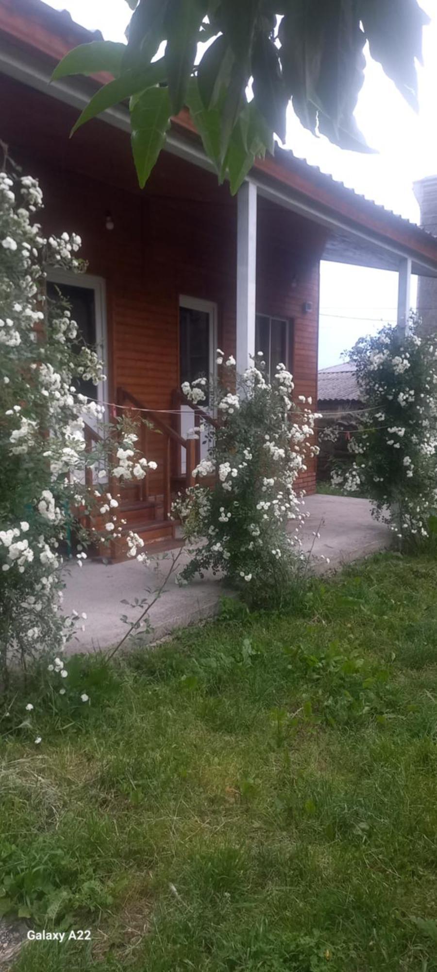 Cottage And Gigo Papa'S Wine Cellar Kvareli Exterior photo